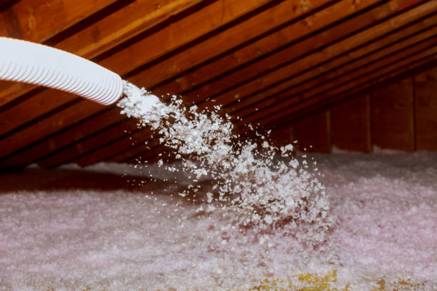 Best Spray Foam Insulation in Flora, AL
